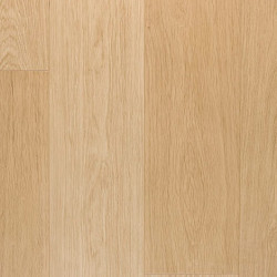 Largo - White Varnished Oak Plank
