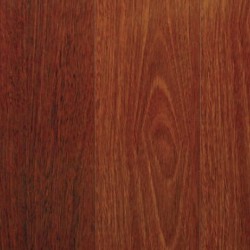 Titan - Longboard Jarrah