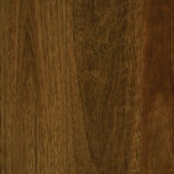 Titan Longboard - NSW Spotted Gum