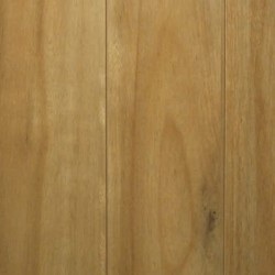Titan Longboard -  Coastal Blackbutt