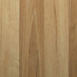 Titan Select - 8mm Coastal Blackbutt