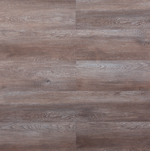 KENBROCK - Squatters Pride KB651TA