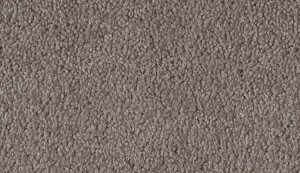 carpet-colorado-antler-floor-godfrey hirst