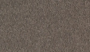 carpet-colorado-burnet-floor-godfrey hirst