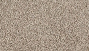 carpet-colorado-sable brush-floor-godfrey hirst