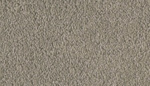 carpet-colorado-spinifex-floor-godfrey hirst