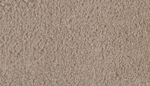 carpet-colorado-toasted almond-floor-godfrey hirst