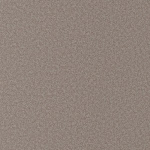 carpet-natural trends-clay-swatch-godfrey hirst carpet