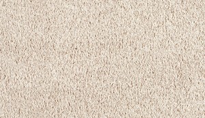 carpet-pacific view-birch bark-floor-godfrey hirst