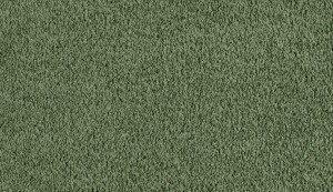 carpet-pacific view-cameo green-floor-godfrey hirst