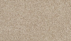 carpet-pacific view-ivory tusk-floor-godfrey hirst