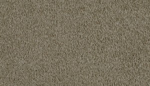 carpet-pacific view-limestone-floor-godfrey hirst