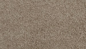 carpet-pacific view-peanut brittle-floor-godfrey hirst