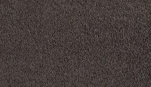 carpet-pacific view-walnut-floor-godfrey hirst