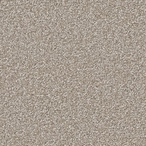 carpet-regal elegance-autumn stipple-swatch-redbook carpets