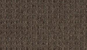 carpet-riviera-natural bark-floor-godfrey hirst