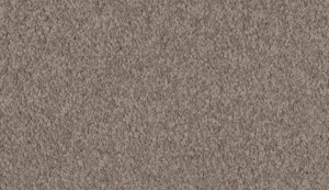 carpet-summertones-clay path-floor-godfrey hirst