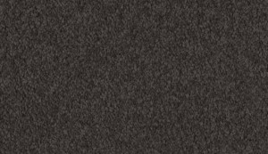 carpet-summertones-dark mushroom-floor-godfrey hirst
