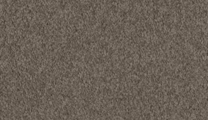 carpet-summertones-doeskin-floor-godfrey hirst