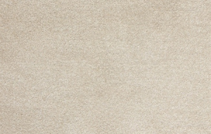 Beaulieu Impererial Gardens Dawn