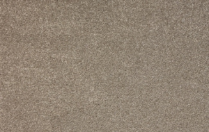 Beaulieu Impererial Gardens Mink